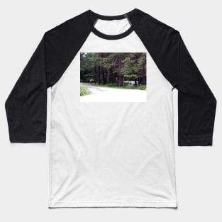 New Forest Ponies Baseball T-Shirt